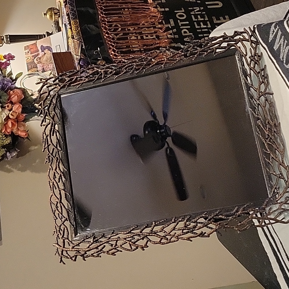 Mirror in Metal "Coral" Frame,New with Tag! GORGEOUS